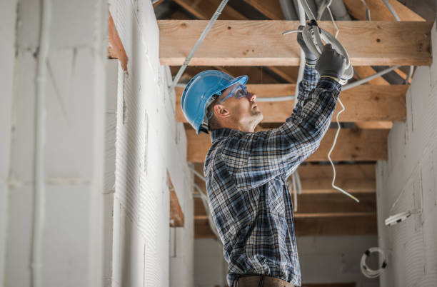 Best Electrical Rewiring Services  in Park River, ND